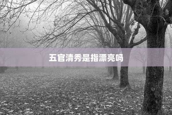 五官清秀是指漂亮吗