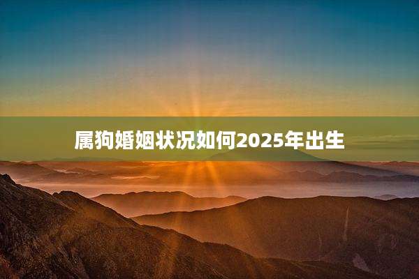 属狗婚姻状况如何2025年出生