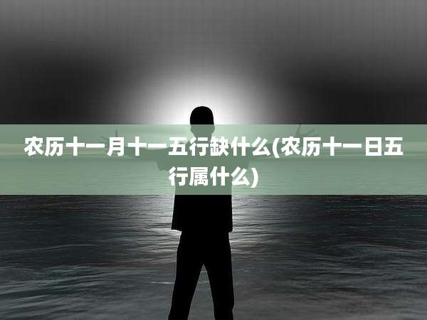农历十一月十一五行缺什么(农历十一日五行属什么)
