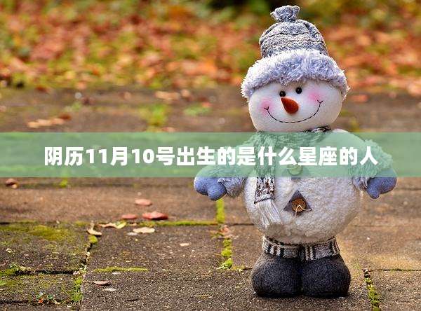 阴历11月10号出生的是什么星座的人
