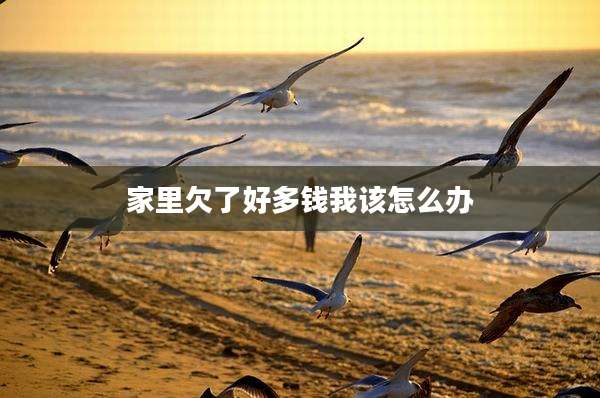 家里欠了好多钱我该怎么办