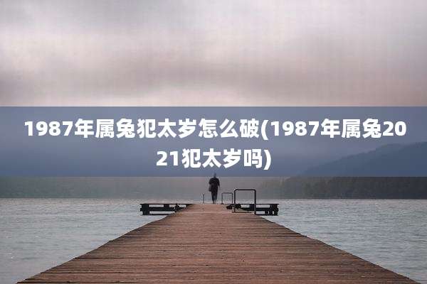 1987年属兔犯太岁怎么破(1987年属兔2021犯太岁吗)