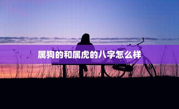 属狗的和属虎的八字怎么样