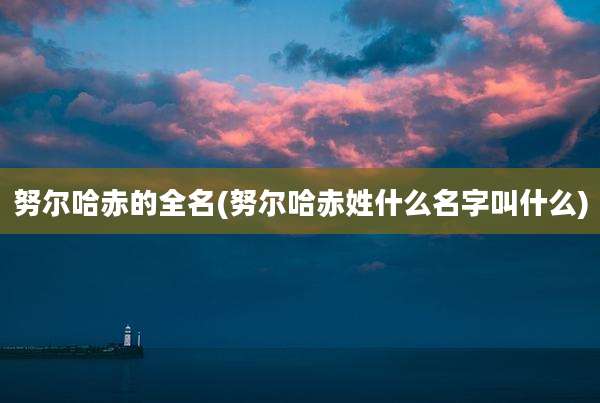 努尔哈赤的全名(努尔哈赤姓什么名字叫什么)