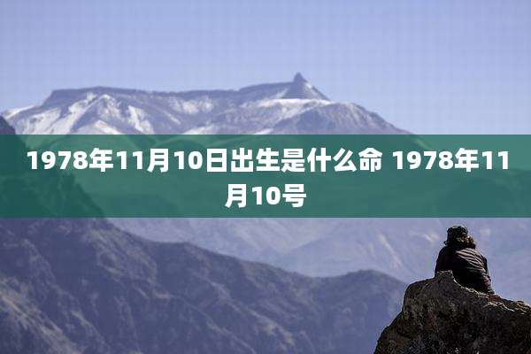 1978年11月10日出生是什么命 1978年11月10号