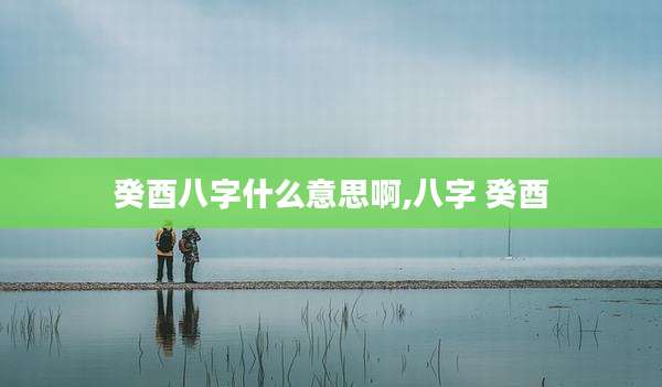 癸酉八字什么意思啊,八字 癸酉