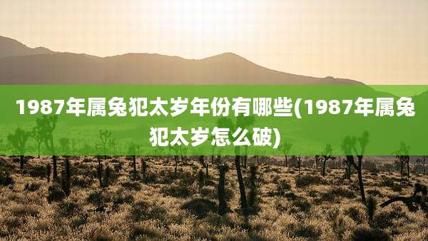 1987年属兔犯太岁年份有哪些(1987年属兔犯太岁怎么破)