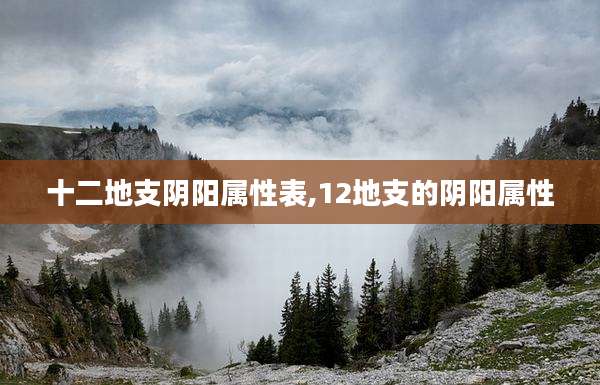 十二地支阴阳属性表,12地支的阴阳属性