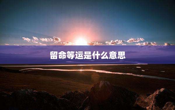 留命等运是什么意思