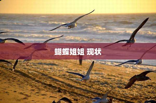 蝴蝶姐姐 现状
