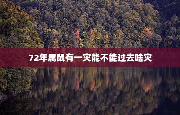 72年属鼠有一灾能不能过去啥灾