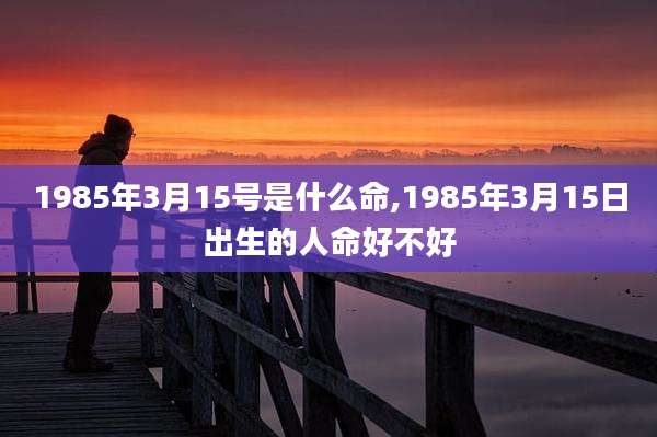 1985年3月15号是什么命,1985年3月15日出生的人命好不好