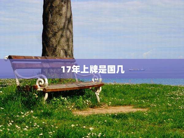 17年上牌是国几