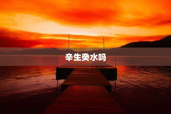 辛生癸水吗