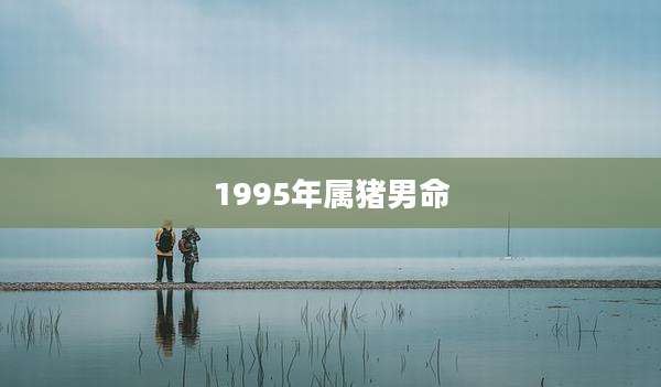 1995年属猪男命