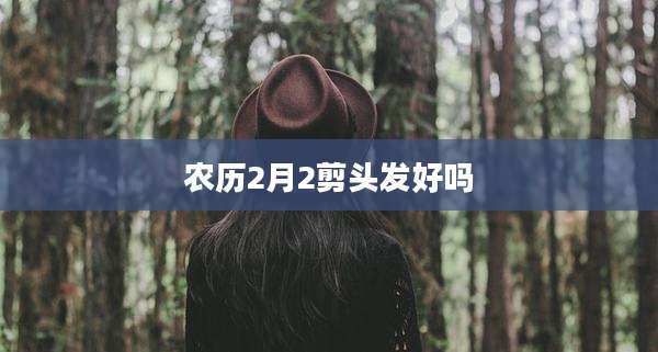 农历2月2剪头发好吗