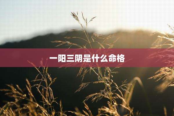 一阳三阴是什么命格