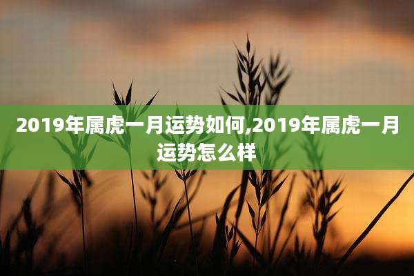 2019年属虎一月运势如何,2019年属虎一月运势怎么样