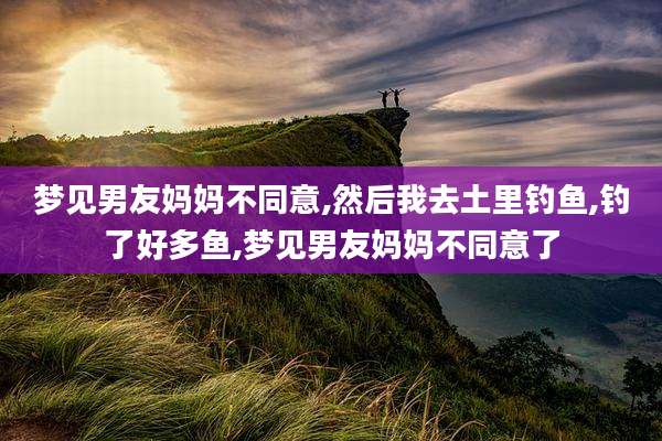 梦见男友妈妈不同意,然后我去土里钓鱼,钓了好多鱼,梦见男友妈妈不同意了