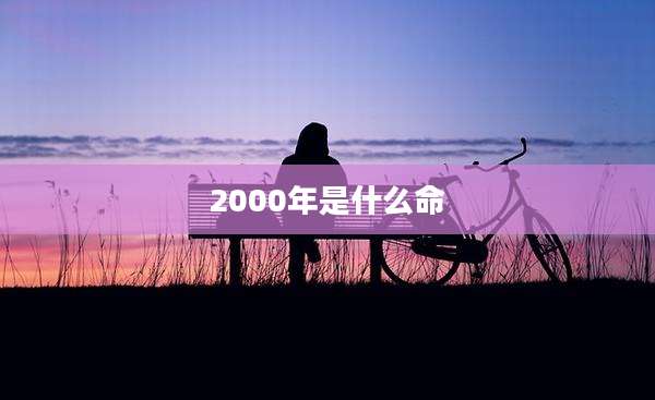 2000年是什么命