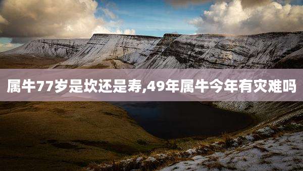 属牛77岁是坎还是寿,49年属牛今年有灾难吗