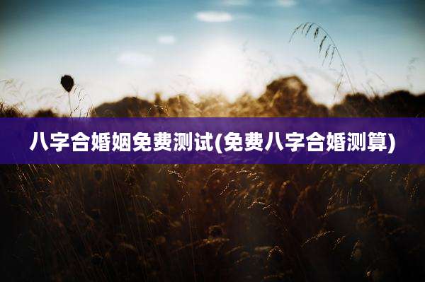 八字合婚姻免费测试(免费八字合婚测算)