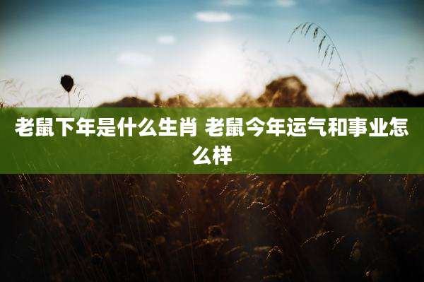 老鼠下年是什么生肖 老鼠今年运气和事业怎么样