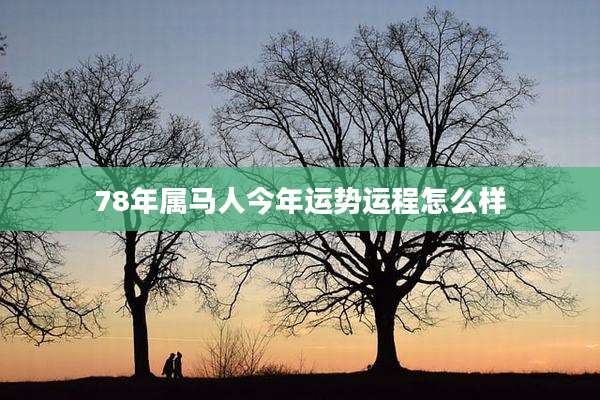 78年属马人今年运势运程怎么样