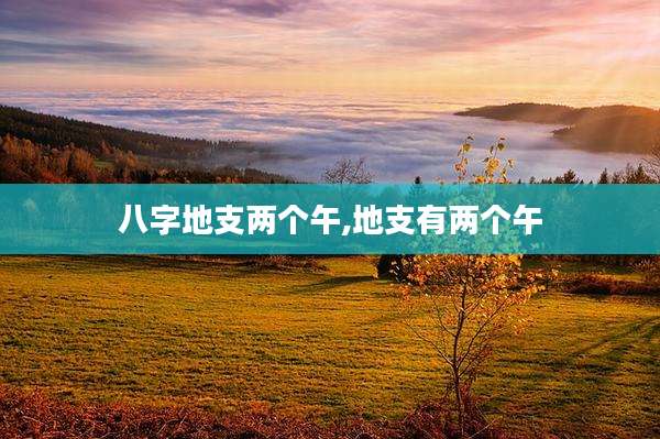 八字地支两个午,地支有两个午