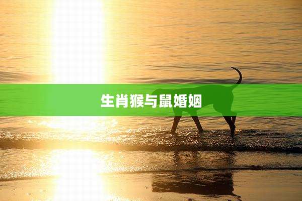 生肖猴与鼠婚姻