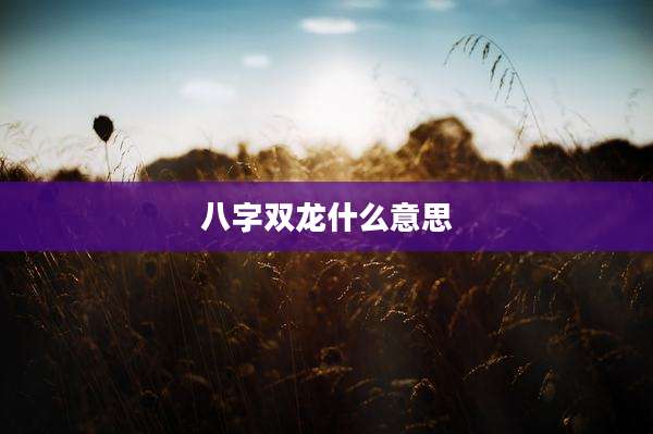 八字双龙什么意思