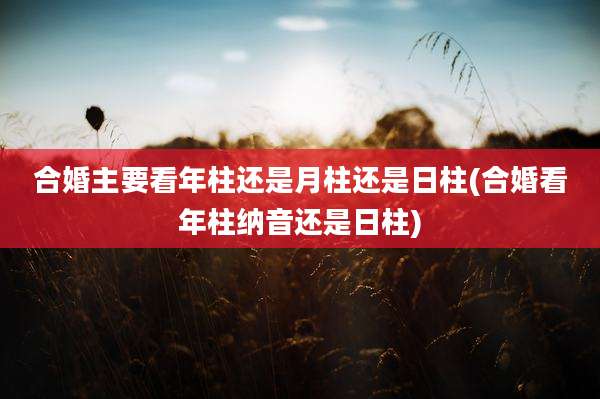 合婚主要看年柱还是月柱还是日柱(合婚看年柱纳音还是日柱)