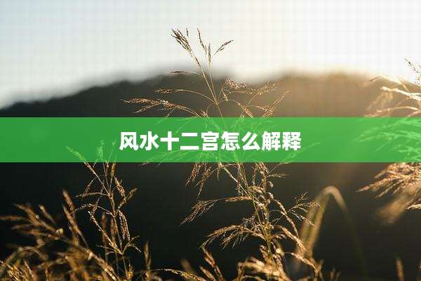 风水十二宫怎么解释