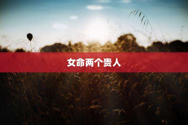 女命两个贵人