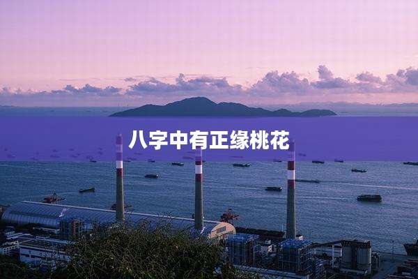 八字中有正缘桃花