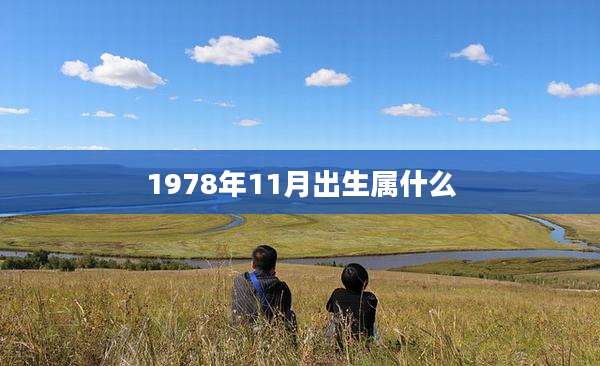 1978年11月出生属什么