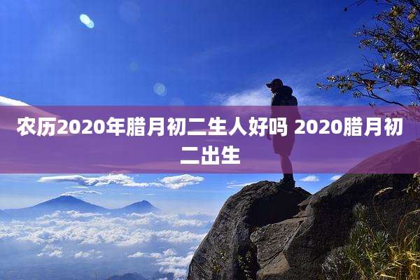 农历2020年腊月初二生人好吗 2020腊月初二出生