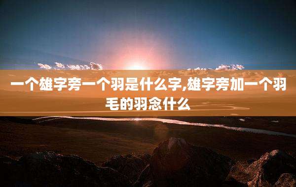 一个雄字旁一个羽是什么字,雄字旁加一个羽毛的羽念什么
