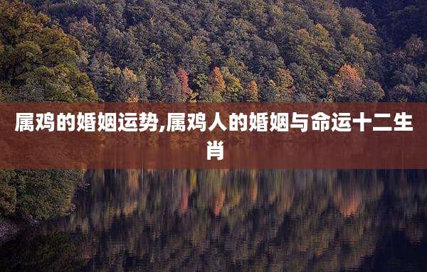 属鸡的婚姻运势,属鸡人的婚姻与命运十二生肖