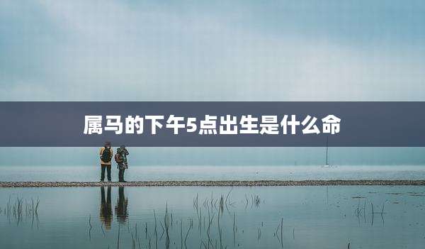 属马的下午5点出生是什么命