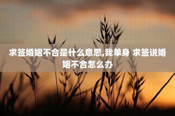 求签婚姻不合是什么意思,我单身 求签说婚姻不合怎么办