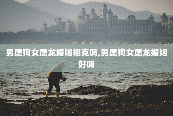 男属狗女属龙婚姻相克吗,男属狗女属龙婚姻好吗