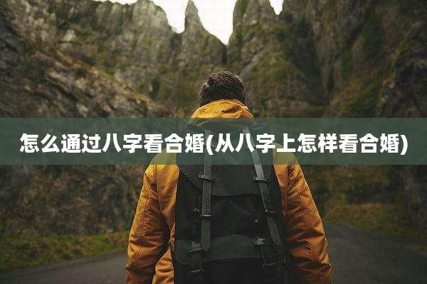 怎么通过八字看合婚(从八字上怎样看合婚)