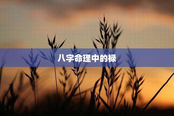 八字命理中的禄