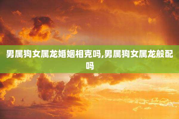 男属狗女属龙婚姻相克吗,男属狗女属龙般配吗