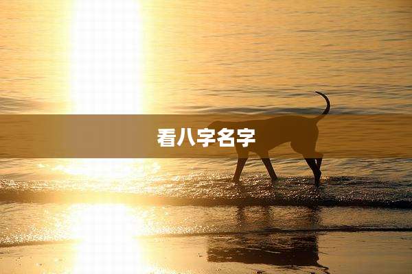 看八字名字