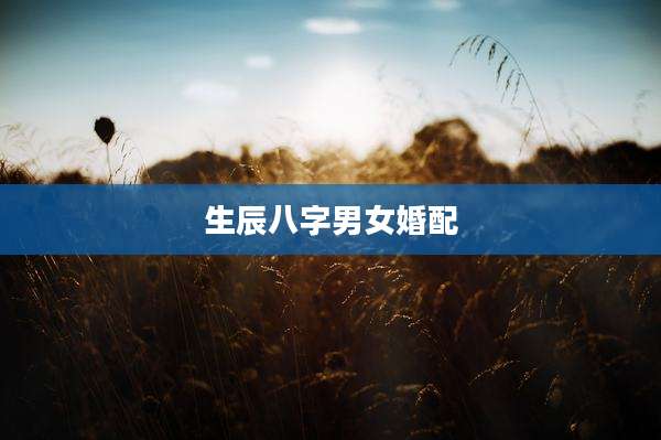 生辰八字男女婚配