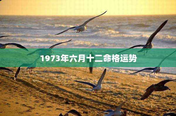 1973年六月十二命格运势