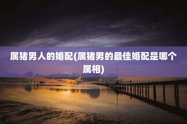 属猪男人的婚配(属猪男的最佳婚配是哪个属相)
