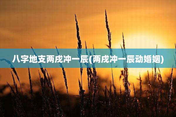 八字地支两戌冲一辰(两戌冲一辰动婚姻)